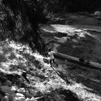 Steeplechase - Single - Ignatius