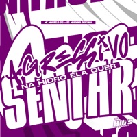 Agressivo na Hidro Ela Quer Sentar - Single - DJ Marvino Original & MC Magrelo S13
