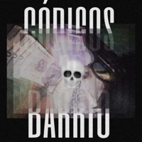 Codigos de Barrio (feat. Nekso Style) - Single - AxinGrm