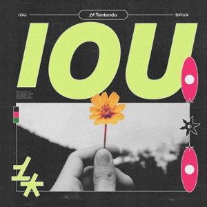 IOU