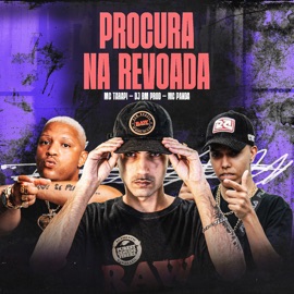 Procura na Revoada DJ BM PROD, Mc Tarapi & MC PANDA