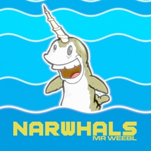Narwhals - Single