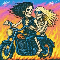 Газ - Single - ALON