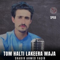 Tom Halti Lakeera Maja (feat. Shabir Ahmed Faqir) - Single - SPGB