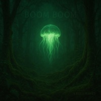 Boom Boom - Single - Krees Waves