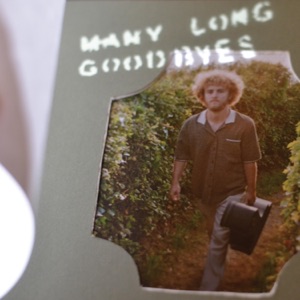 Many Long Goodbyes