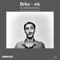 Brko - vic (Trevayne Remix) - DJ Sedatophobia lyrics
