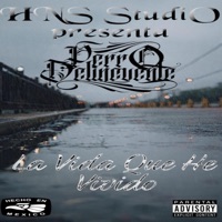 La Vida Que He Vivido - Single - Perro Delincuente