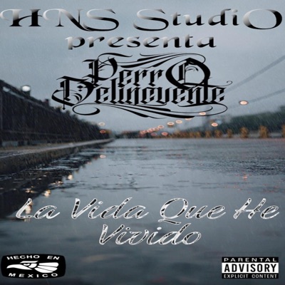 La Vida Que He Vivido - Single