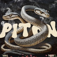 Piton (feat. Tndor) - Single - Niko'