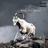 Pudi - Single - Mali the Homie