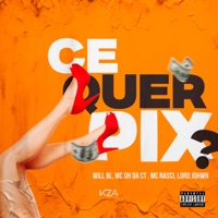 Ce Quer Pix (feat. MC Nasci) - Single - Will BL, MC DH da CT & Lord JohWn