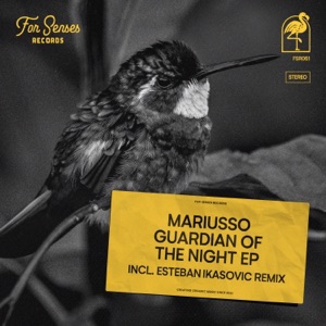 Guardian of the Night - Single