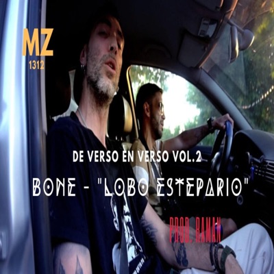 Lobo Estepario (feat. RAMAN A.K.A SKATEBEATZ) - Single