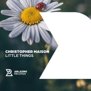 Little Things - Single