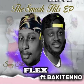 Flex (feat. BAKITENNO) FREETONG BOYZ