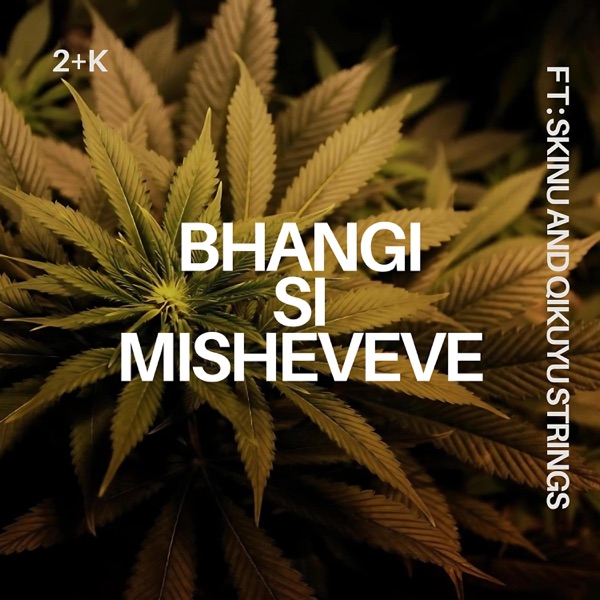 Bhangi si Misheveve (feat. skinu & Qikuyustrings)
