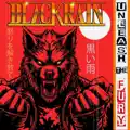 Unleash The Fury 