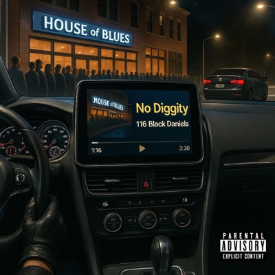 No Diggity - Single