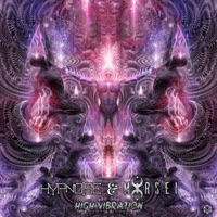 High Vibration - Single - Hypnoise & MoRsei