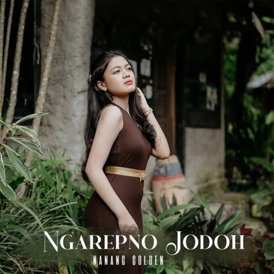 Ngarepno Jodoh (feat. Laily Suci) - Single