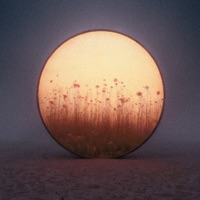 DAY - Single - DANNEE