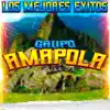 Grupo Amapola - Mi Cariño