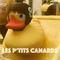 Les p't**s canards - Matzmann lyrics