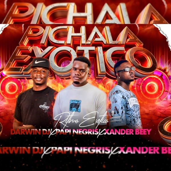 PICHALA (feat. DJ XANDER & DARWIN DJ)