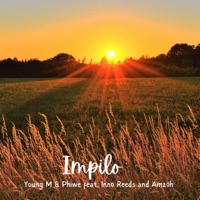 Impilo (feat. Inno Reeds & Amzoh) - Single - Young M SA & Phiwe