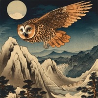 Night Owl - Single - Olin Jei