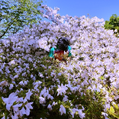 PURPLE MURAKAMI - Single