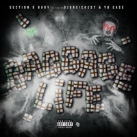 Baggage Life (feat. OjDaSickest & YB Ea$e) - Single - Section 8 Baby