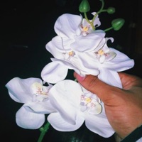 3AM - Single - Andrey Medina