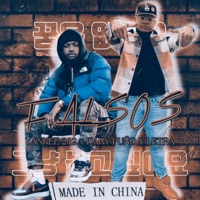 Falsos (feat. Dary puño y letra) - Single - Yankee212