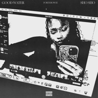 Good Water/Sho Sho - Single - ForteBowie