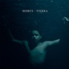 Tierra - Single