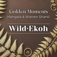 Golden Moments - Single - Wild.Ekoh, Warren Shanti & Hangala