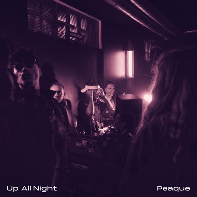 Up All Night - Single