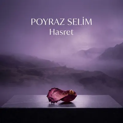 Listen to HASRET - Single by Poyraz Selim