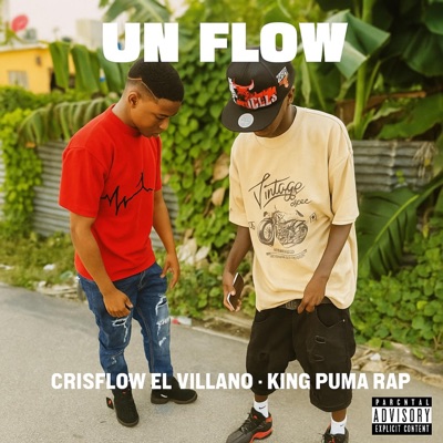 Un Flow (feat. King Puma Rap) - Single