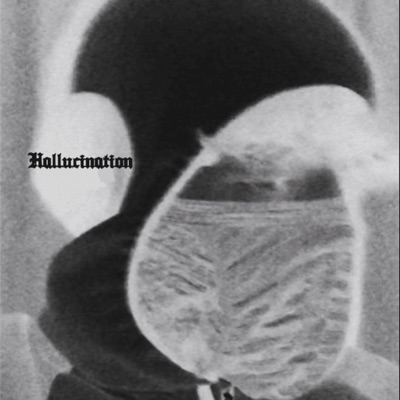 hallucination - Single