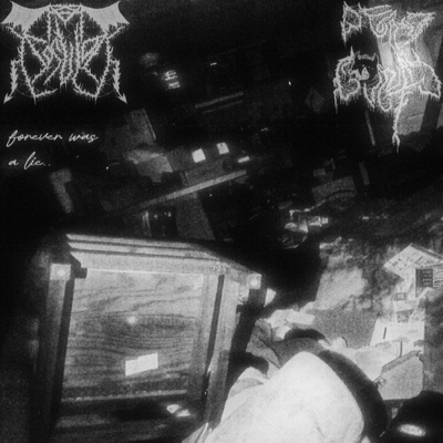 Forever Was a Lie (feat. Decay Country) - Single