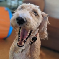 This is the Rest - Single - M at the W