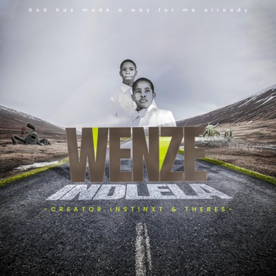 Wenze Indlela - Single