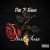 Pain Is Forever - Single