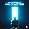 Wild Water