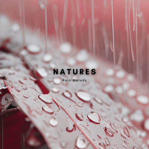 Soothing Storm - Single