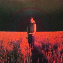 Всему виною красота (Remix) IntroVert