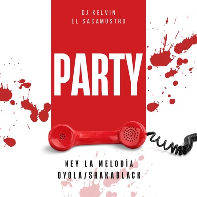 Party (feat. OYOLA) - Single